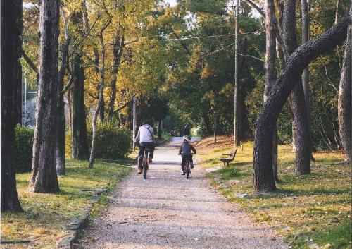 写真：48　帰り道