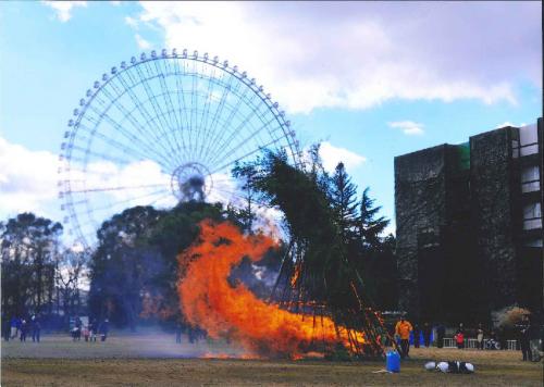 写真：43　反り返る竜