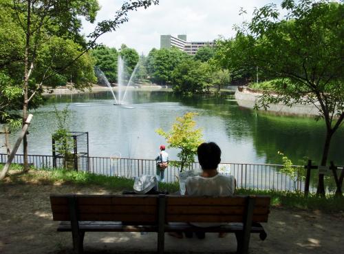 写真：池2-1 春日大池(桃山公園)