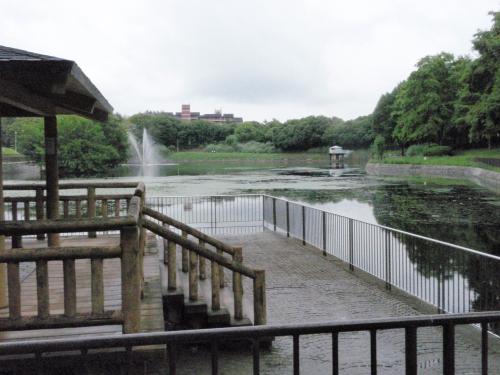 写真：池2-2 春日大池(桃山公園)