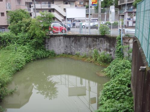 写真：池9-1 佐井寺4の池