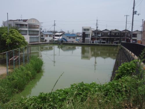 写真：池19-1 牛池