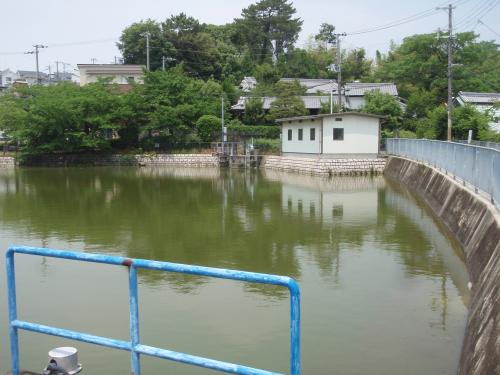 写真：池20-1 宮ヶ谷池