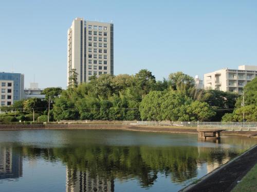 写真：池34-1 水遠池（千里北公園）