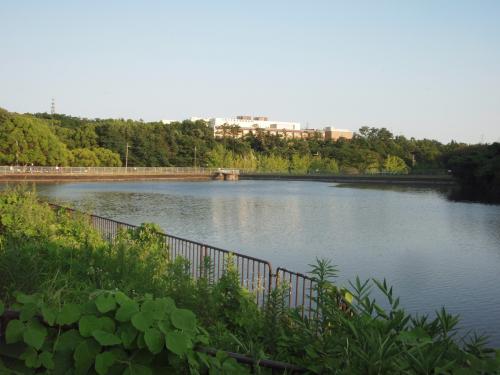 写真：池34-2 水遠池（千里北公園）