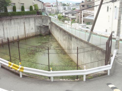 写真：池48-1 青葉丘南の池（メゾン千里丘五番街管理組合）