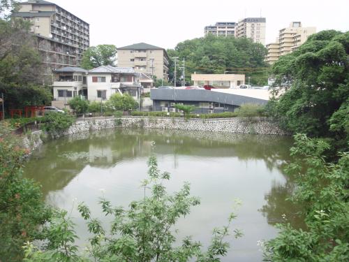 写真：池49-1 千里丘北の池（千里丘稲荷神社の南側）