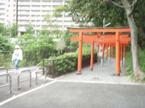 写真：池49-2 隣接の千里丘稲荷神社の鳥居参道