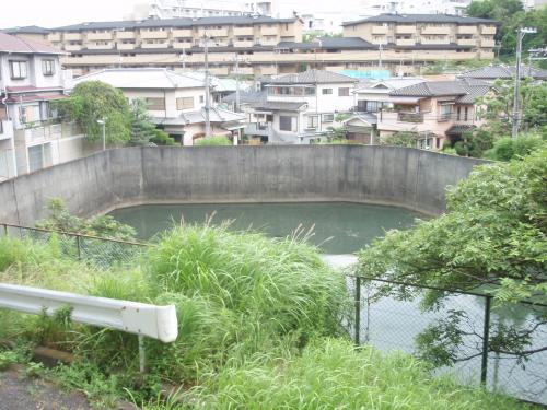 写真：池50-1 新芦屋上の池