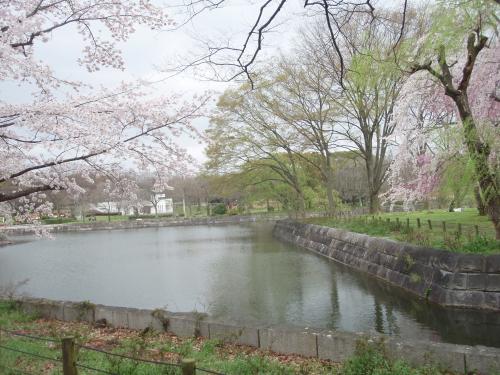 写真：万博1-7 水すましの池（万博・自然文化園）