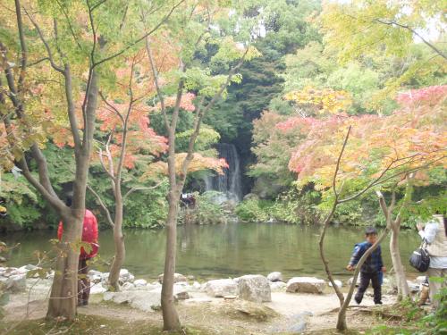 写真：万博1-11 もみじの滝（万博・自然文化園）