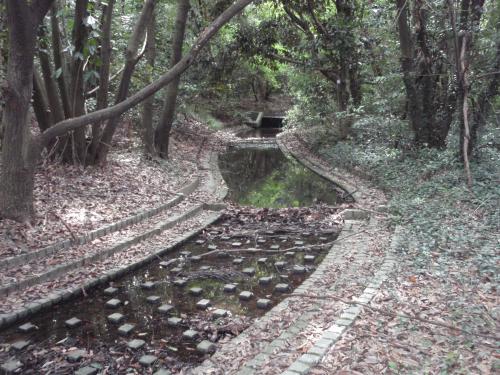 写真：万博1-14 水鳥の池の水路（万博・自然文化園）