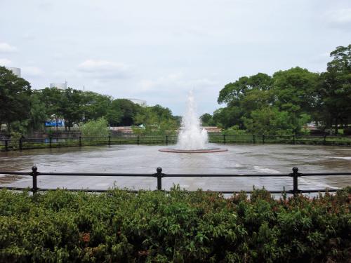 写真：万博1-20 せせらぎ広場の噴水（万博・自然文化園）