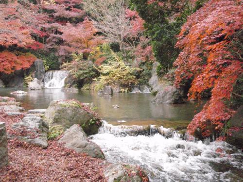 写真：万博2-6 日本庭園の滝