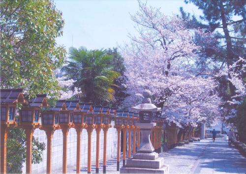 写真：15 片山神社の桜