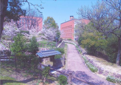 写真：17 片山公園への道