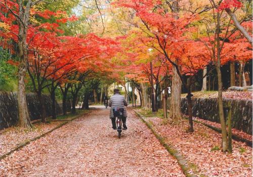 写真：22 紅く染まる小径