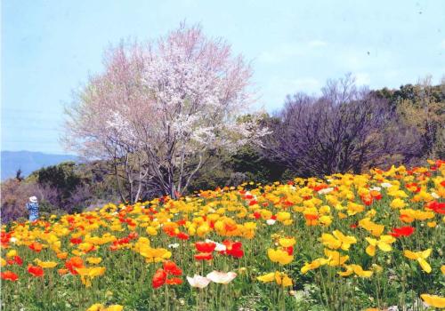 写真：34 タイミング