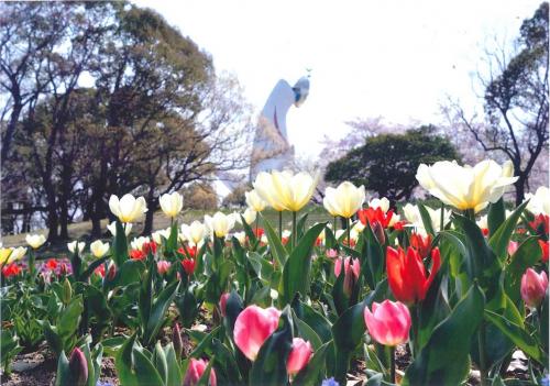 写真：36 花に座す