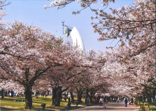 写真：54 太陽の塔はこんな場所