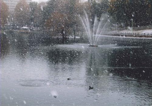 写真：56 冬の池