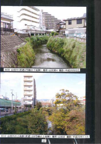 写真：84 吹田の水辺【河川・水路】風景45