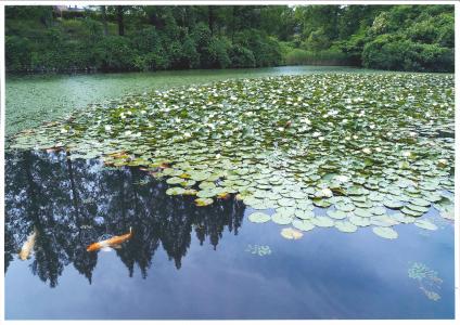 写真：春のどか