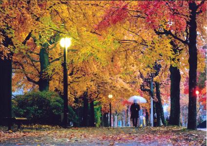 写真：夜明けの小雨三色彩道