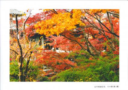 写真：秋の旧中西家住宅そのⅢ（庭園）