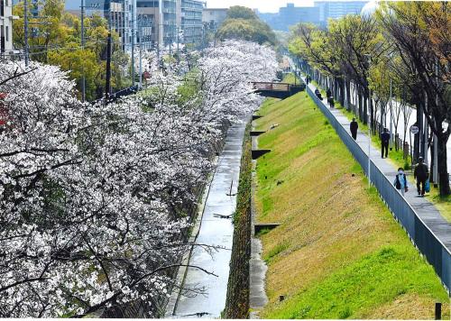 写真：28 一服する風景