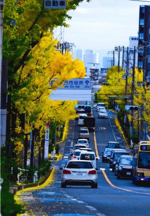 写真：37 片山坂の秋