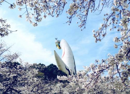 写真：42 桜に囲まれて