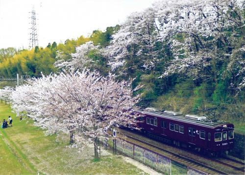 写真：44 春の阪急電車