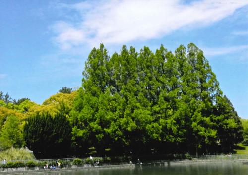 写真：49 釣り日和