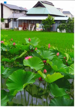 写真：05 農家の風景