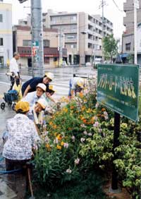 写真：協定アドプト・ロード・たかはま（高浜町）