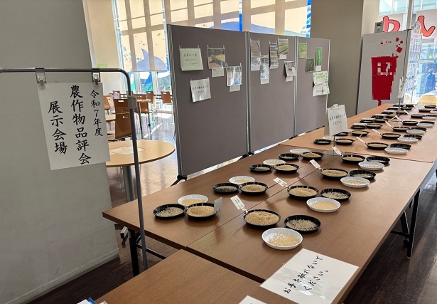 写真：品評会全景