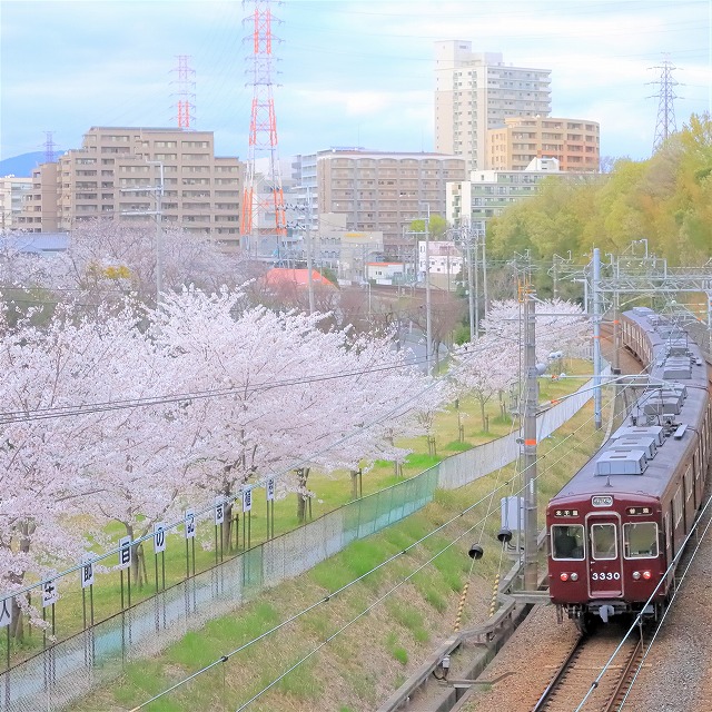 写真：4月