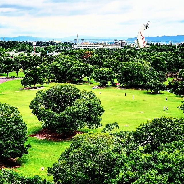 写真：夏4