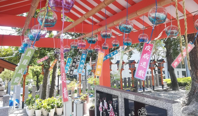 写真：7月