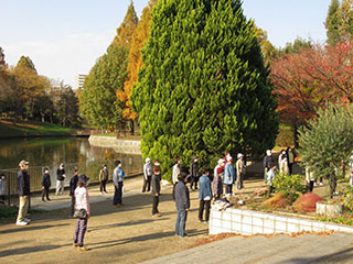 写真：佐竹公園で体操をする様子