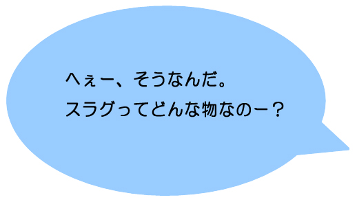 へぇー、そうなんだ。スラグってどんな物なのー？