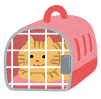 キャリーケースになれた猫