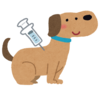 イラスト：予防注射を受けている犬
