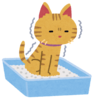イラスト：猫砂の上で踏ん張る猫