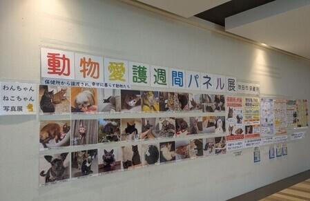 ビエラ岸辺建都