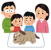 イラスト：犬の看取り