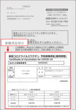 写真：接種済証3回目