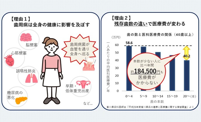 2023年度　歯とお口の健康週間　日本歯科医師会