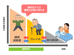 イラスト：健常高齢者・フレイル・要介護状態の相関図